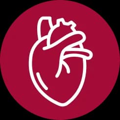 Heart icon representing standardized aortic annuloplasty technique