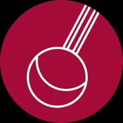 Surgical sizer tool icon representing innovative annuloplasty device sizing