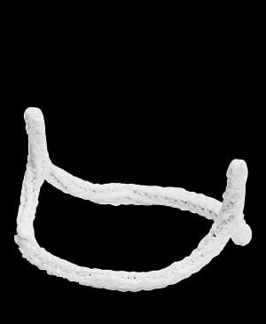 HAART 200 aortic annuloplasty device