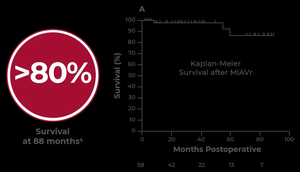 HAART 300 in minimally invasive surgery: Kaplan-Meier survival after MiAVr for 58 patients, with survival remaining above 80 percent at 88 months; curve shows high survival through about 55 months then a step to roughly 86 to 88 percent through 90 months postoperative